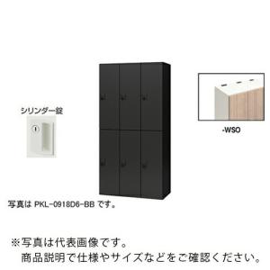 NAIKI ( ナイキ )　パーソナルロッカー（６人用）　ポッケ　ＰＫＬ型　ラージタイプ　シリンダー錠 ( PKL-09186-WSO )