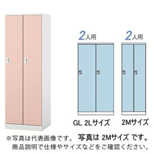 NAIKI ( ナイキ )　ロッカー（ＧＬ型） ( GL2LJ-LPI )