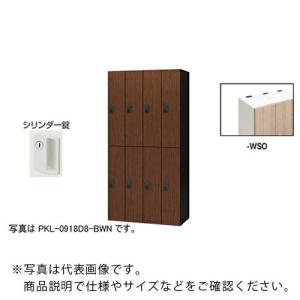 NAIKI ( ナイキ )　パーソナルロッカー（８人用）　ポッケ　ＰＫＬ型　ラージタイプ　シリンダー錠 ( PKL-09188-WSO )