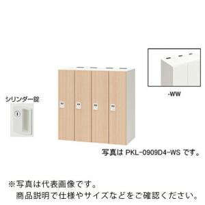 NAIKI ( ナイキ )　パーソナルロッカー（４人用）　ポッケ　ＰＫＬ型　ラージタイプ　シリンダー錠 ( PKL-09094-WW )