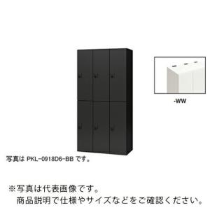 NAIKI ( ナイキ )　パーソナルロッカー（６人用）　ポッケ　ＰＫＬ型　ラージタイプ　ダイヤル錠 ( PKL-0918D6-WW )