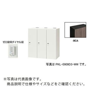 NAIKI ( ナイキ )　パーソナルロッカー（３人用）　ポッケ　ＰＫＬ型　ラージタイプ　ゼロ復帰ダイヤル錠 ( PKL-0909DR3-BCA )