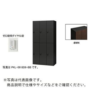 NAIKI ( ナイキ )　パーソナルロッカー（６人用）　ポッケ　ＰＫＬ型　ラージタイプ　ゼロ復帰ダイヤル錠 ( PKL-0918DR6-BWN )