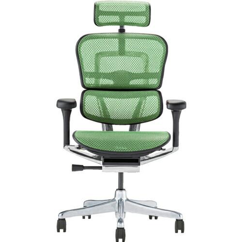 エルゴヒューマン オフィスチェア エルゴヒューマンプロ2 ハイタイプ ブラックフレーム 張地 グリー...