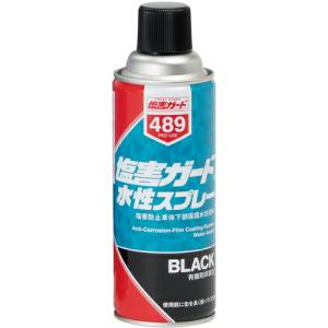 イチネンケミカルズ 塩害ガード 水性スプレー 420mL ( 000489 ) (株)イチネンケミカルズ｜orangetool