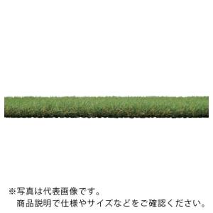IRIS 107988 防草人工芝 1m×20m ( BP-30120R )｜orangetool