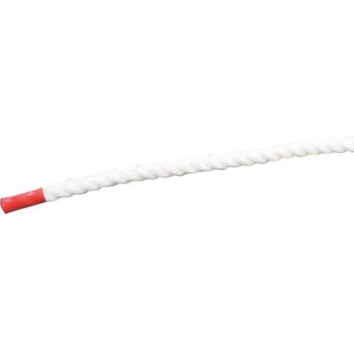 グリーンクロス クレモナSロープ 少し軟打 6mm×400m ( 6300059466 )