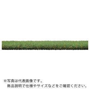 IRIS 107994 ロングパイル人工芝 1m×1m ( CT-3011R )｜orangetool