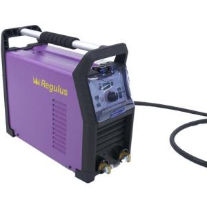 グリーンクロス 直流溶接機 RAA-200D ( 6300056039 )｜orangetool