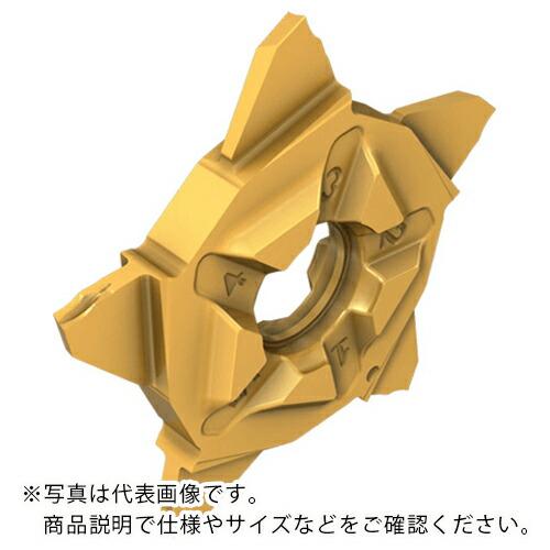 イスカル　突切加工用インサート　クイックペンタ　ＰＥＮＴＡ　２４Ｒ／Ｌ−ＤＳＬ　ＩＣ１０１０ (PE...