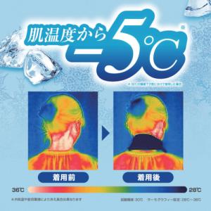 アイスノン ( 白元アース ) 【2026年今...の詳細画像1