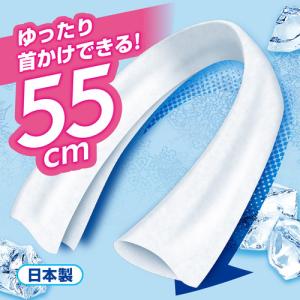 アイスノン ( 白元アース ) 【2026年今...の詳細画像5