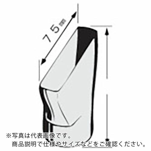 ボッシュ センタンノズル N4 PHG500 ( PHG-N4 ) ボッシュ(株)