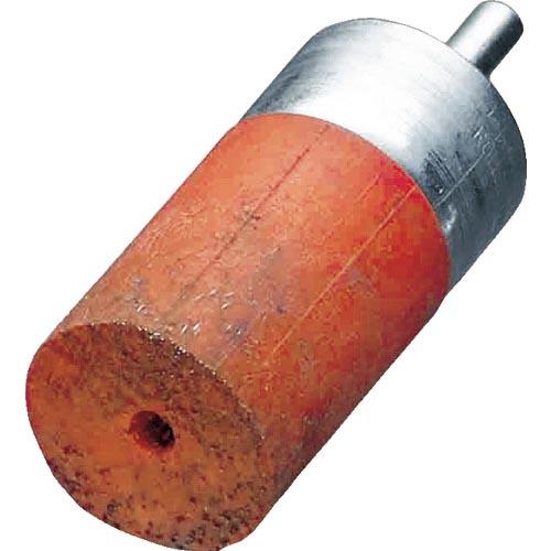 LESSMANN セーフティ軸付エンド型ブラシ 鋼線 0.3 φ28 ( 456160 ) LESS...