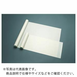 chukoh フッ素樹脂ファブリック FGF-400-10 0.23t×600w×10m ( FGF-400-10-600W ) 中興化成工業(株)｜orangetool