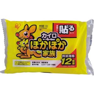 IRIS 264590 ぽかぽか家族 貼るレギュラー 10P ( PKN-10HR ) アイリスオーヤマ(株)｜orangetool