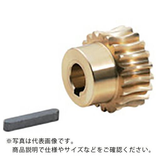 KG ウォームホイール G1A40R1=10 モジュール1.0 アルミニウム青銅鋳物 歯数40 穴径...