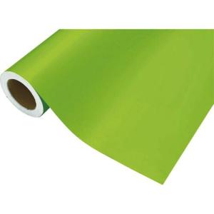 【SALE価格】中川ケミカル カッティングシート 411イエローグリーン 450mm×2M巻 ( CS04541102 ) (株)中川ケミカル｜orangetool