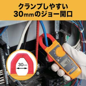 FLUKE クランプメーター(平均値タイプ) ...の詳細画像3