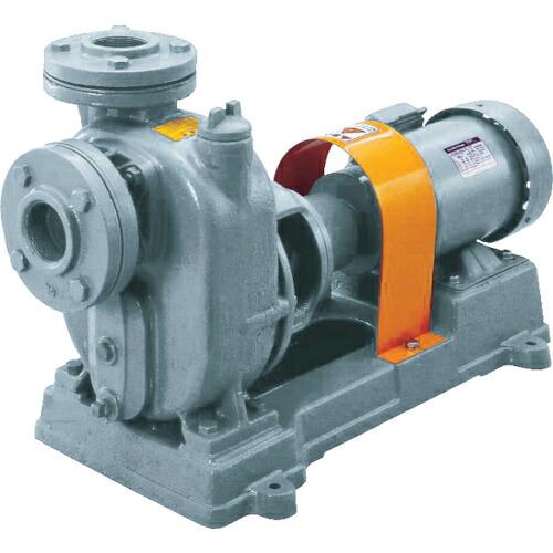 TERADA セルプラポンプ 鋳鉄製グランド式 60Hz  1.5kW 全揚程12m モーター付 (...