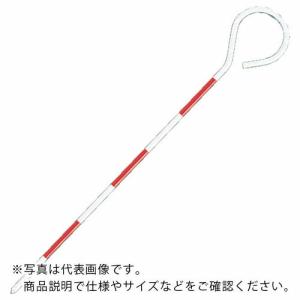シンワ ピンポ-ルスチール製30cm ( 76976 ) シンワ測定(株)｜orangetool