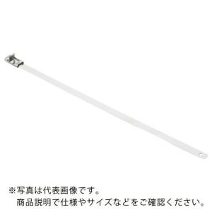 PANDUIT MSステンレススチールバンド SUS316 12.7×940 50本入 ( MS10W50T15-L6 )｜orangetool