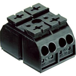 WAGO スプリング式中継端子台 WTBシリーズ 4線式2極 (10個入) ( WTB30-2 ) ワゴジャパン(株)｜orangetool