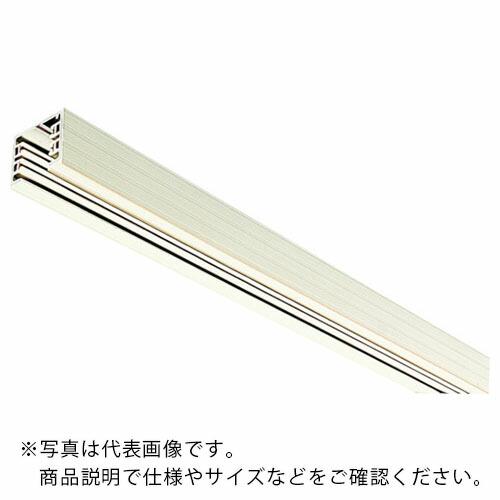 Panasonic 配線ダクト ファクトライン30 本体 L=3m ( DH2713 )