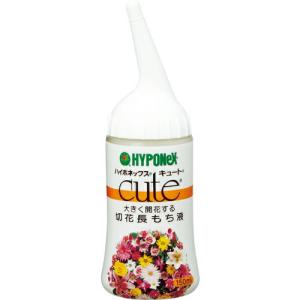 ハイポネックス 切花活性剤 キュート切花長もち液 ( H016418 ) (株)ハイポネックスジャパン｜orangetool