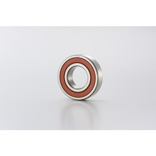 NTN 深溝玉軸受(すきま大・合成ゴム接触両側シール)内径95mm外径145mm幅24mm ( 60...