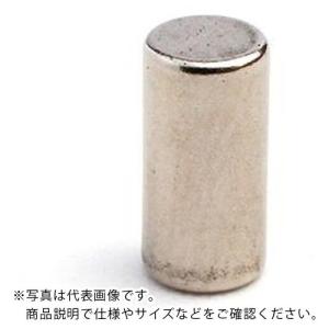 AS ネオジム磁石 丸型 φ3×5 (50個入) ( 6-3024-08 )｜orangetool