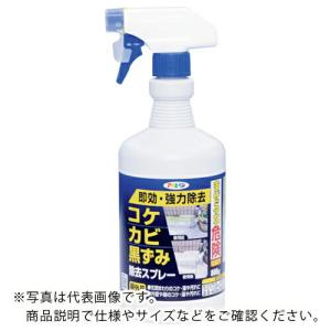 アサヒペン コケ・カビ黒ずみ除去スプレー800G ( 311108 )｜orangetool