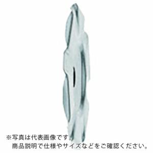 フィッシャー 外断熱用アンカー DHM 100 A2(250本入) ( 536265 ) フィッシャージャパン(株)｜orangetool