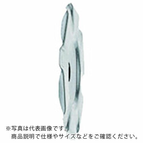 フィッシャー 外断熱アンカーDTM用大ワッシャー DTM 80 A2(250個入) ( 536271...