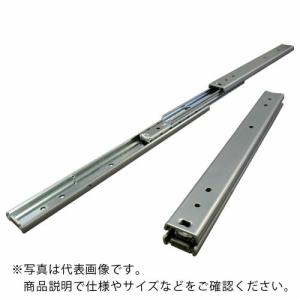 アキュライド ダブルスライドレ-ル200mm ( C2431-20 ) 日本アキュライド(株)｜orangetool