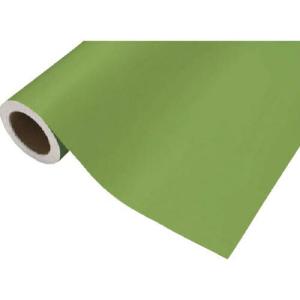 中川ケミカル カッティングシート411イエローグリーン450mm×12M ( CS045411R ) (株)中川ケミカル｜orangetool