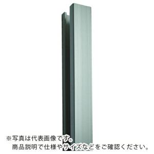 TOSO ピクチャ-レールT-1ホワイト 穴アリ4m  ( PT1-4000H ) トーソー(株) (メーカー取寄)｜orangetool
