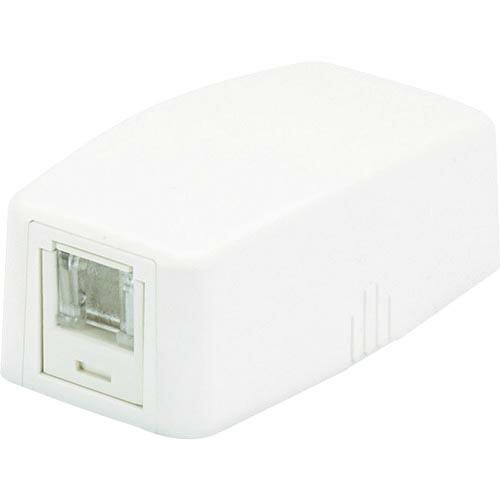 【SALE価格】PANDUIT CAT5Eスプリングシャッター付きローゼットキット 1個口 白  (...