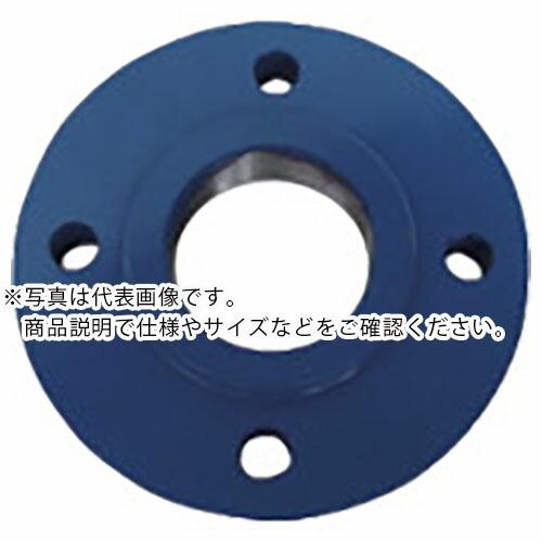 RIKEN フランジ ( 10F ) 理研機器(株) (メーカー取寄)