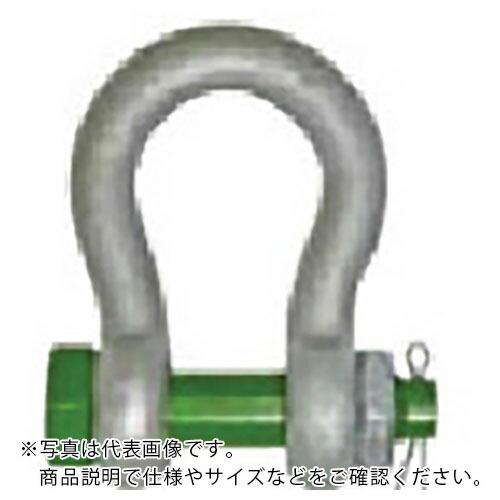 TAIYO グリーンピンスタンダードシャックル GPBB-8.5t(3300497) ( GPBB8...