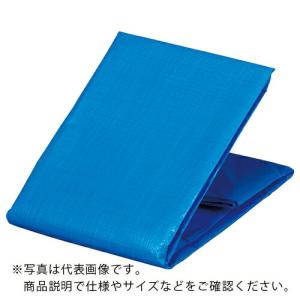 TRUSCO 防炎シートα軽量 ブルー 幅1.8mX長さ5.4m ( GBS1854A-B ) トラスコ中山(株)｜orangetool