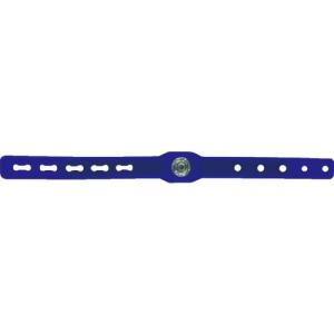 BLASTON シリコンリストストラップバンド 青 ( BSC-1502-B )｜orangetool