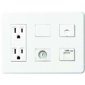 Abaniact 情報コンセント TEL/LAN/TV(4K8K対応) カテ5e ( AC-212VTL-01 ) 因幡電機産業(株)｜orangetool