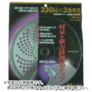 GS ( キンボシ ) 斜埋込チップソー230m...の商品画像