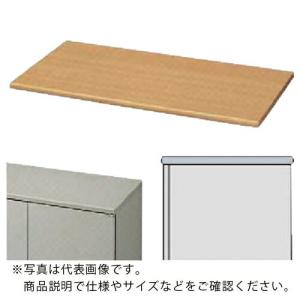 NAIKI 収納庫 NW型 天板(薄型スチール両面)W900×D450用 ( NW-900WTU-AW )｜orangetool
