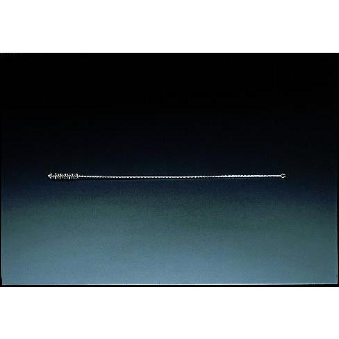 【SALE価格】エスコ (ESCO)  EA109SL-9 9.5x680mm チューブブラシ(ステ...