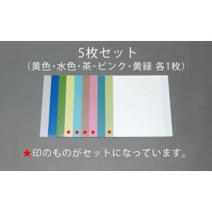 エスコ (ESCO)  EA366MR 5枚組 超精密仕上研磨シート EA366MR｜orangetool