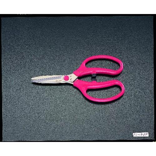 【SALE価格】エスコ (ESCO)  EA540BH-2 180mm はさみ・フラワー EA540...