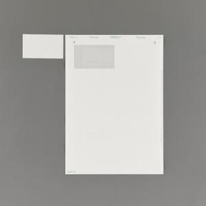 エスコ (ESCO)  EA759XE-134 A4判/ 2面  210x148.5mm プリンターラベル(20枚) EA759XE-134｜orangetool