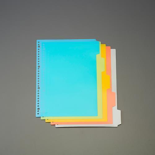 エスコ (ESCO)  EA762CS-21 A4判  カラーインデックス(PPシート/5色入) E...